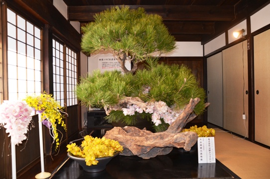 うだつを生ける5584.jpg