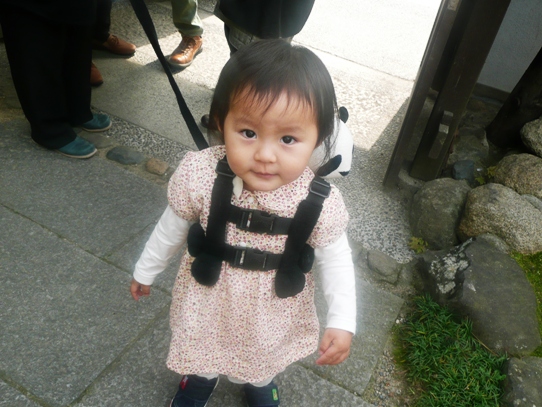 ここちゃん1040743.jpg