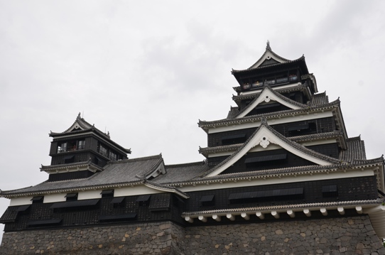 ここちゃんの熊本旅行14648.jpg