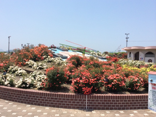 よしうみバラ公園0542.jpg
