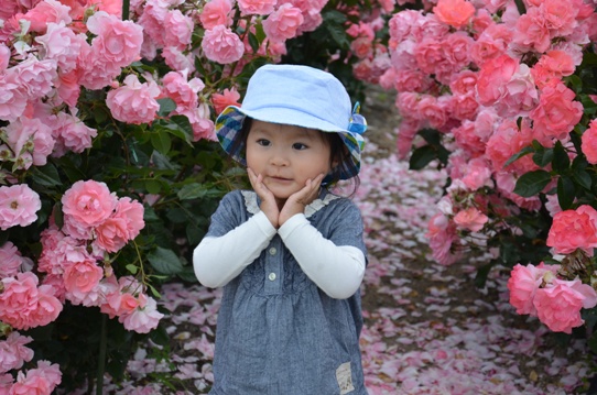 よしうみバラ公園4814.jpg