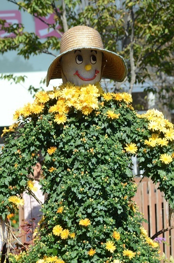 カカシ5954.jpg