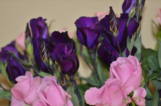 バラ・生け花2225.jpg