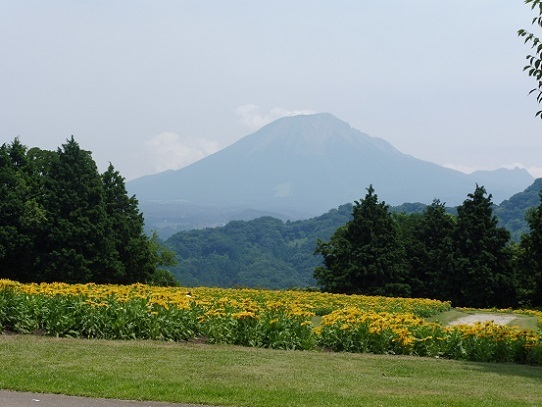 ルドベキア1290016.jpg