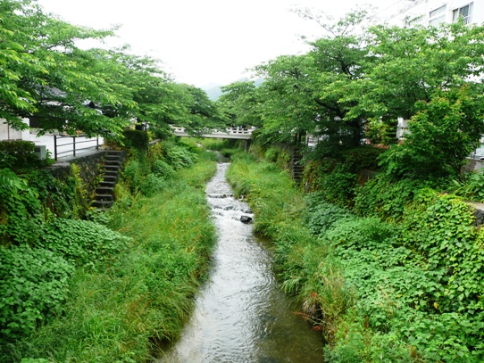 一の坂川1060266.jpg