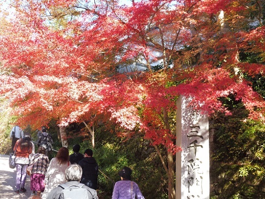 三千院1310063.jpg