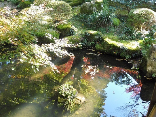 三千院1310066.jpg