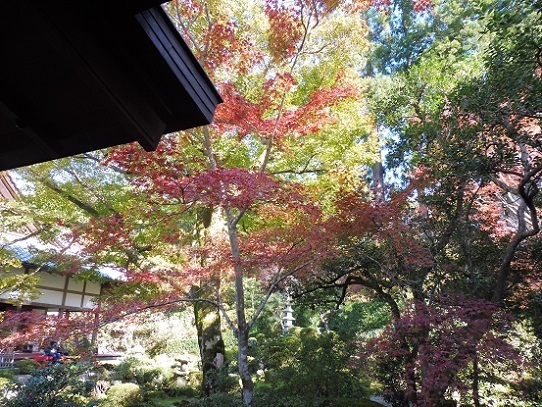 三千院1310068.jpg