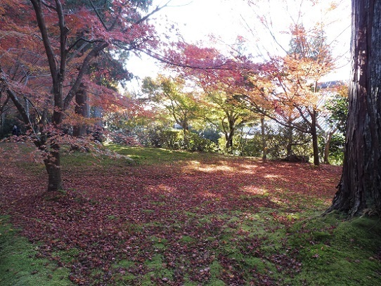 三千院1310071.jpg