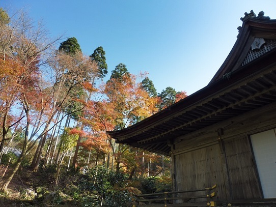 三千院1310075.jpg