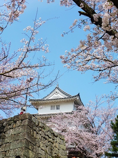 丸亀城1390258.jpg