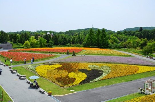 備北丘陵公園の花風景1823.jpg