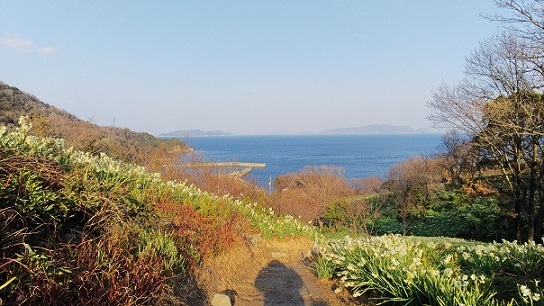 六島0891.jpg