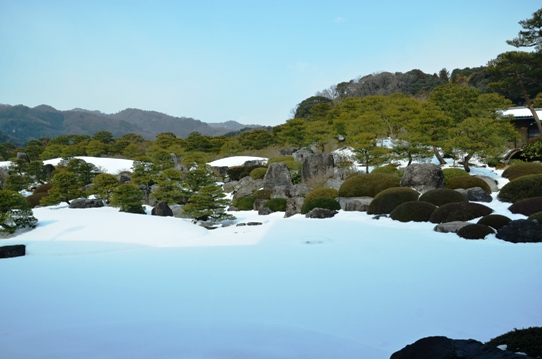冬の庭園5725.jpg