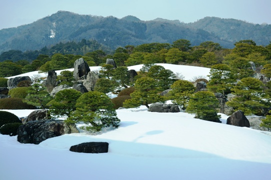 冬の庭園5735.jpg