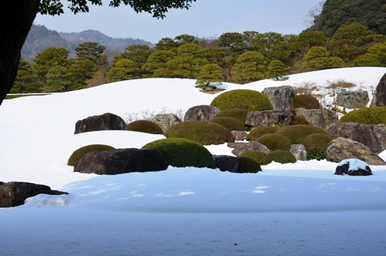 冬の庭園5739.jpg