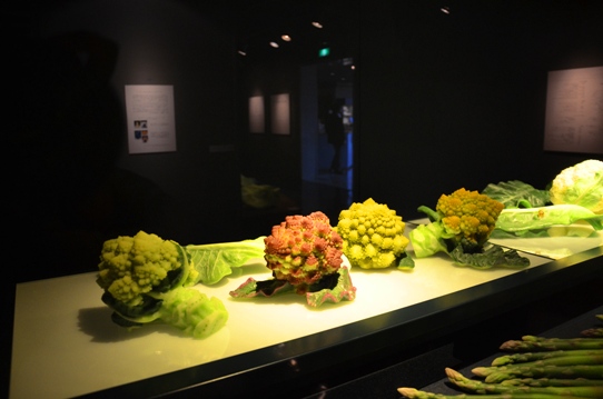 北澤美術館新館作品2503.jpg