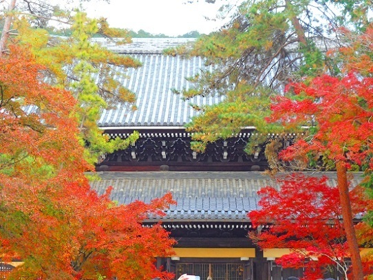 南禅寺1360121.jpg