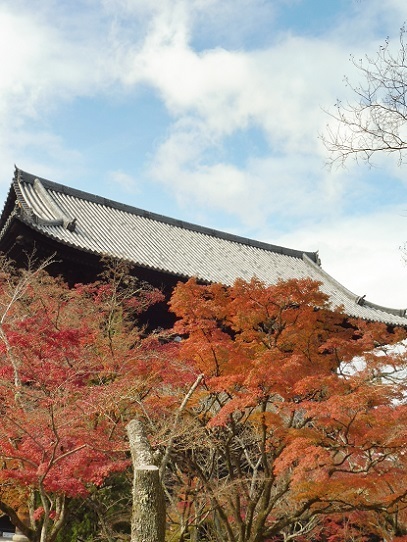 南禅寺紅葉1180053.jpg