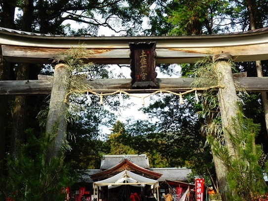 土佐神社1390046.jpg