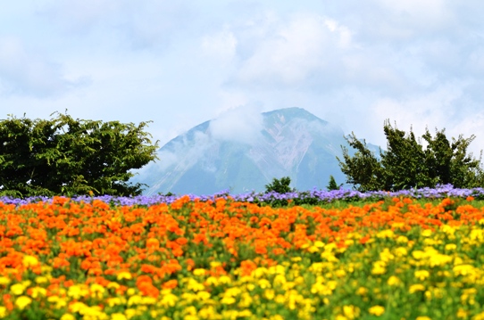 大山9492.jpg