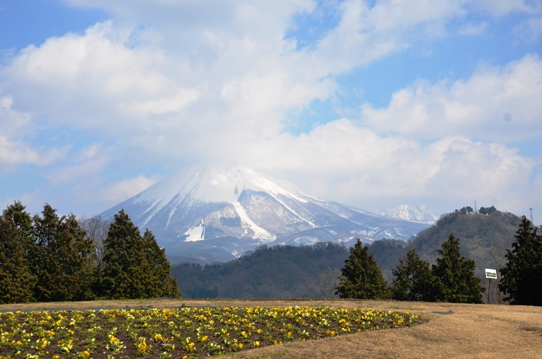 大山9815.jpg