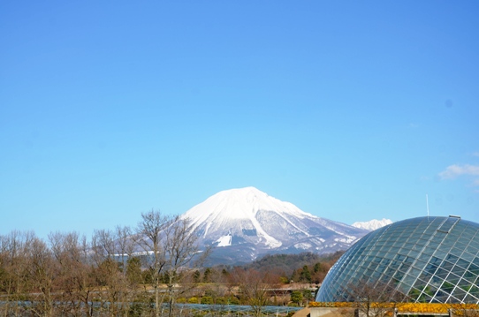 大山9906.jpg