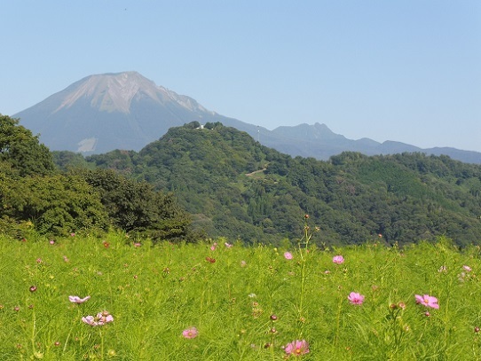 大山とコスモス1300375.jpg