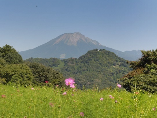 大山とコスモス1300379.jpg