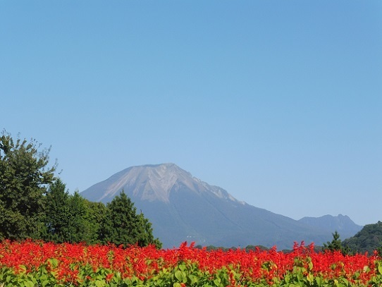 大山とサルビア1300385.jpg