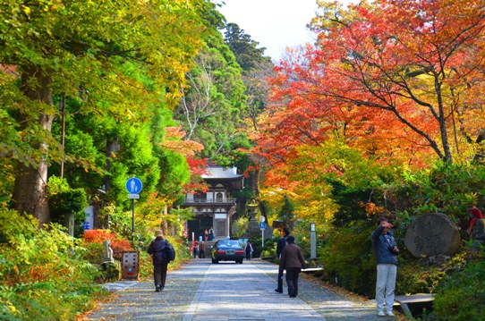 大山寺の紅葉2248.jpg