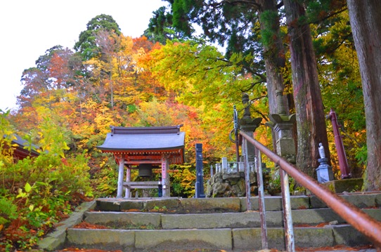 大山寺の紅葉2259.jpg