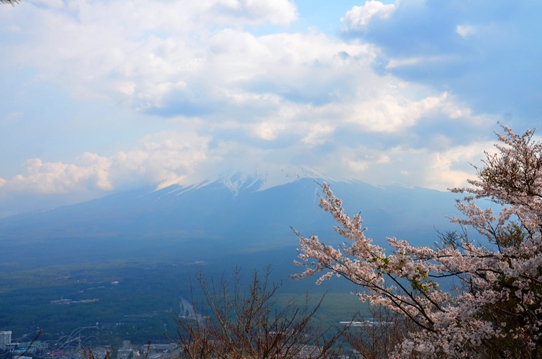 天上山から眺めた富士山1163.jpg