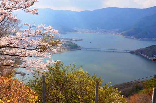 天上山から眺めた河口湖1161.jpg