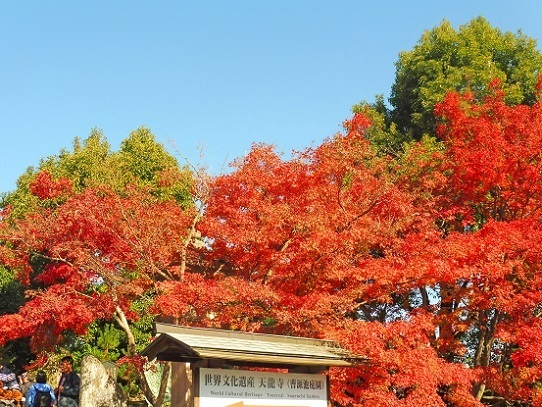 天龍寺1360102.jpg