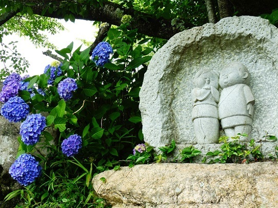 安養寺あじさい1270011.jpg