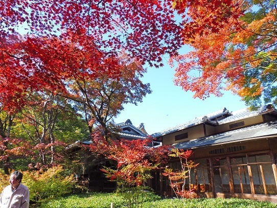 宝厳院1360113.jpg