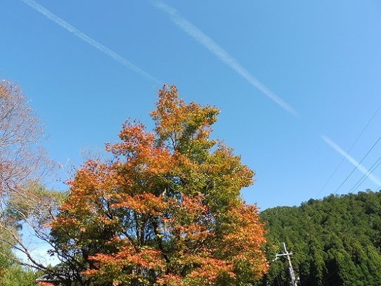 寂光院1310027.jpg