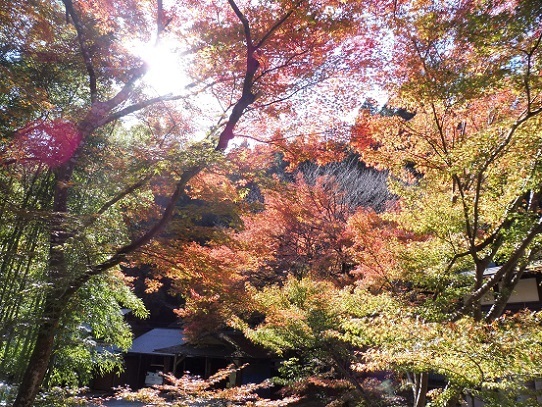 寂光院1310030.jpg