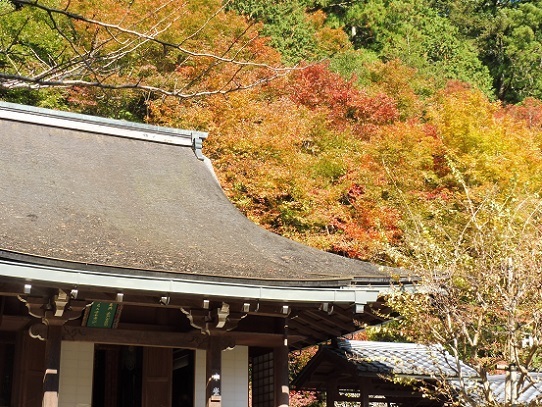 寂光院1310047.jpg