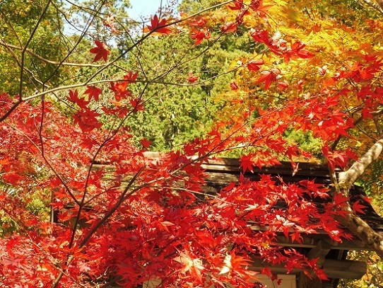 寂光院1310053.jpg