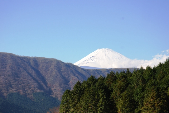 富士山0154花月園.jpg