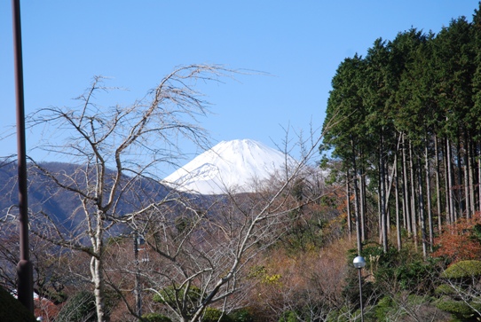 富士山0162花月園.jpg