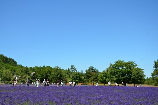 富良野4752.jpg