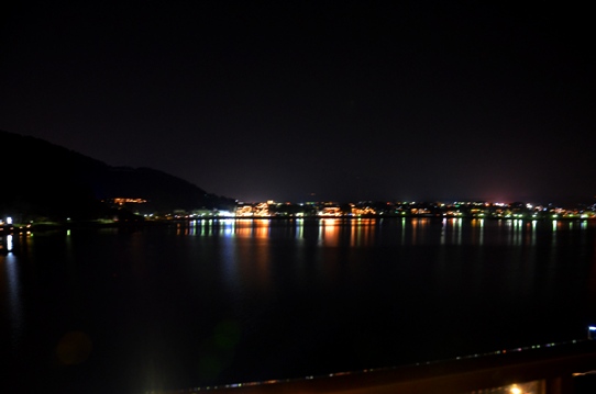 対岸の夜景1216.jpg