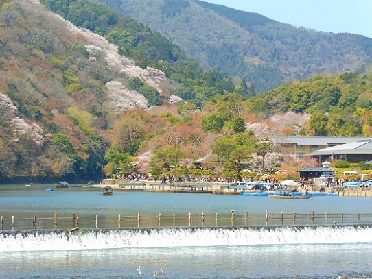 嵐山1390213.jpg