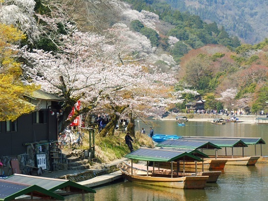 嵐山1390222.jpg
