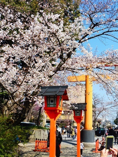 平野神社1390240.jpg
