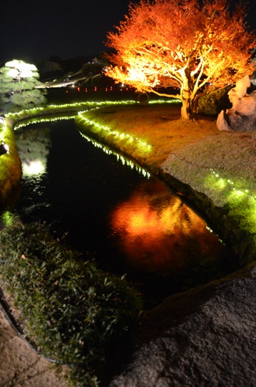 幻想庭園3696.jpg