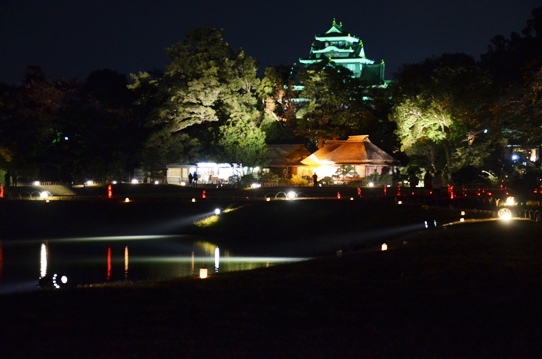 幻想庭園から見た烏城3726.jpg